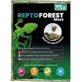 Forest Terrarium Mos 100g