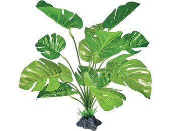 Terrarium Kunstplant Monstera