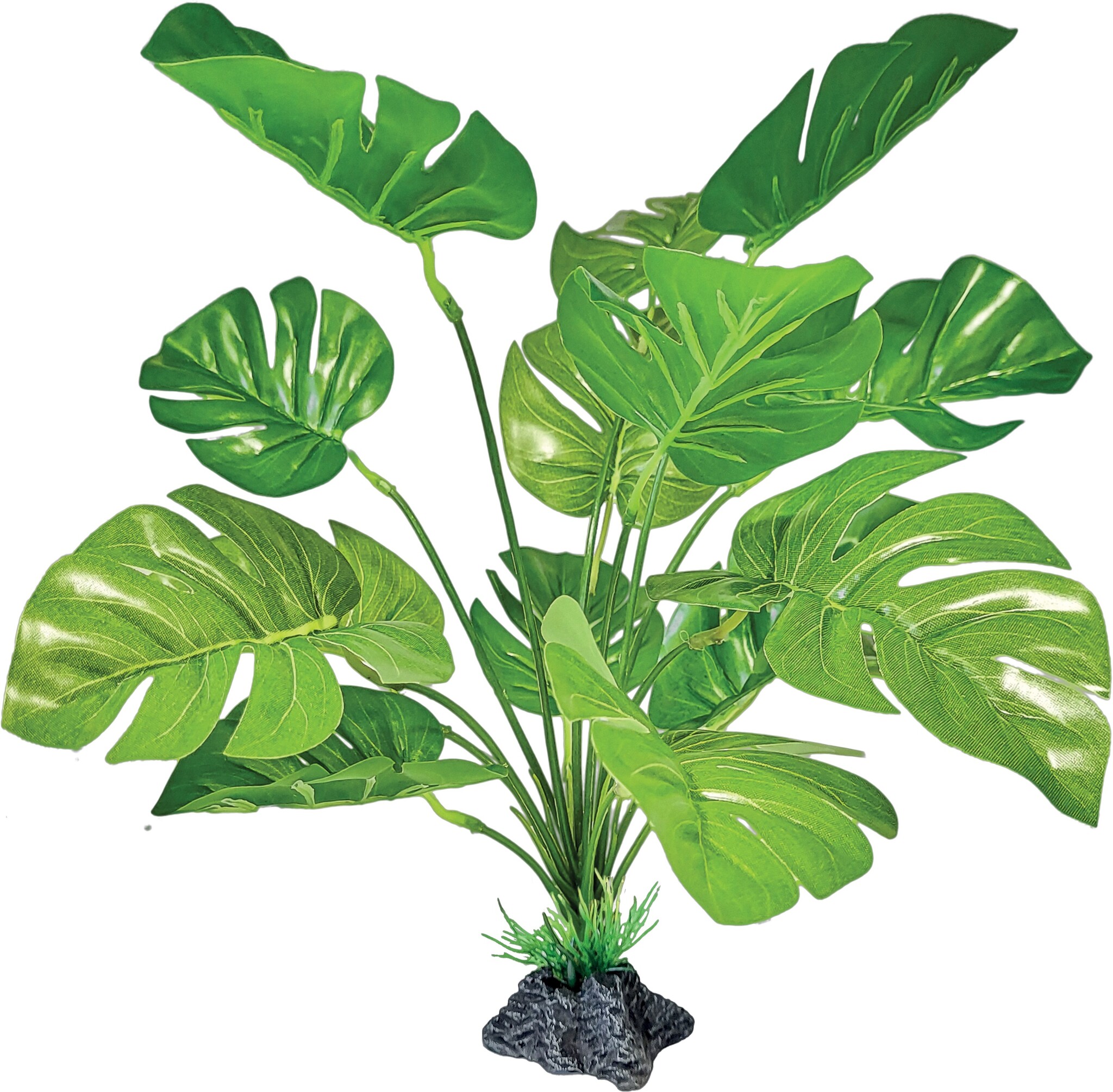Terrarium Kunstplant Monstera