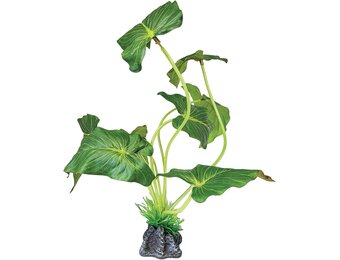 Terrarium Kunstplant Elephant Ear