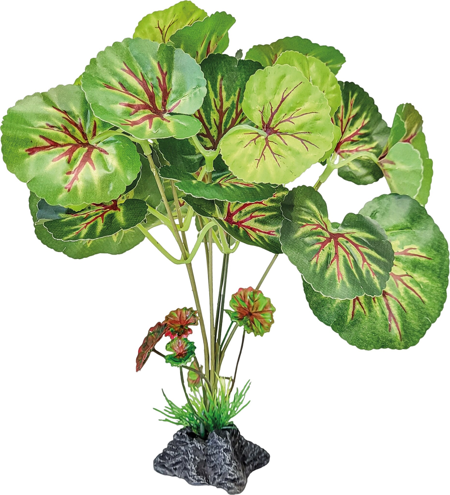 Terrarium Kunstplant Rond Blad