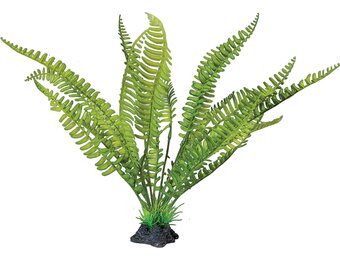 Terrarium Kunstplant Varen