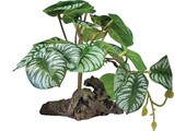 Terrarium Kunstplant op Decoratie Begonia