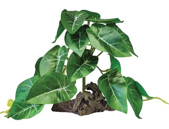 Terrarium Kunstplant op Decoratie Elephant Green