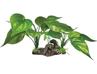 Terrarium Kunstplant op Decoratie Light Green