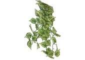 Terrarium Kunstplant Hangend Hedera 46cm