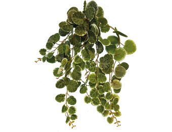 Terrarium Kunstplant Hangend Rond Blad 46cm