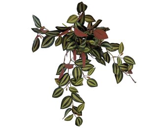 Terrarium Kunstplant Hangend Red Back 46cm