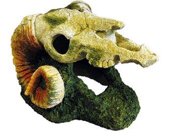 Terrarium Deco Goat Skull Schuilplaats