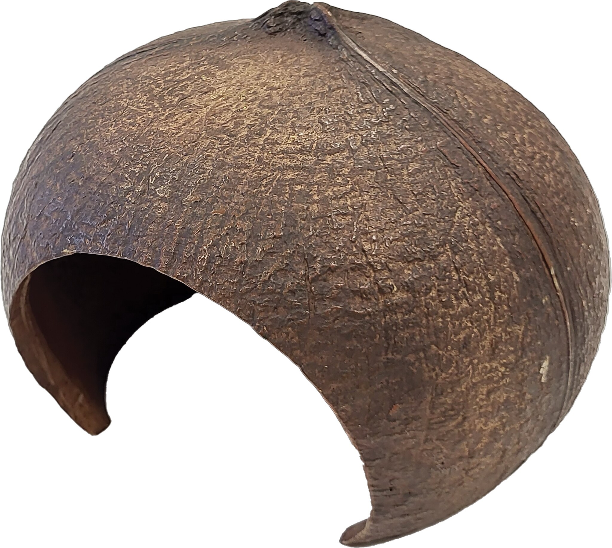 Terrarium Deco Coconut Schuilplaats