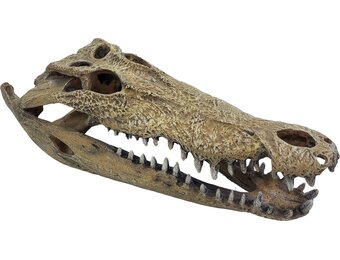 Terrarium Deco Crocodile Schuilplaats XXL