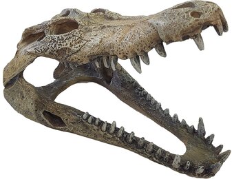 Terrarium Deco Crocodile Schuilplaats L