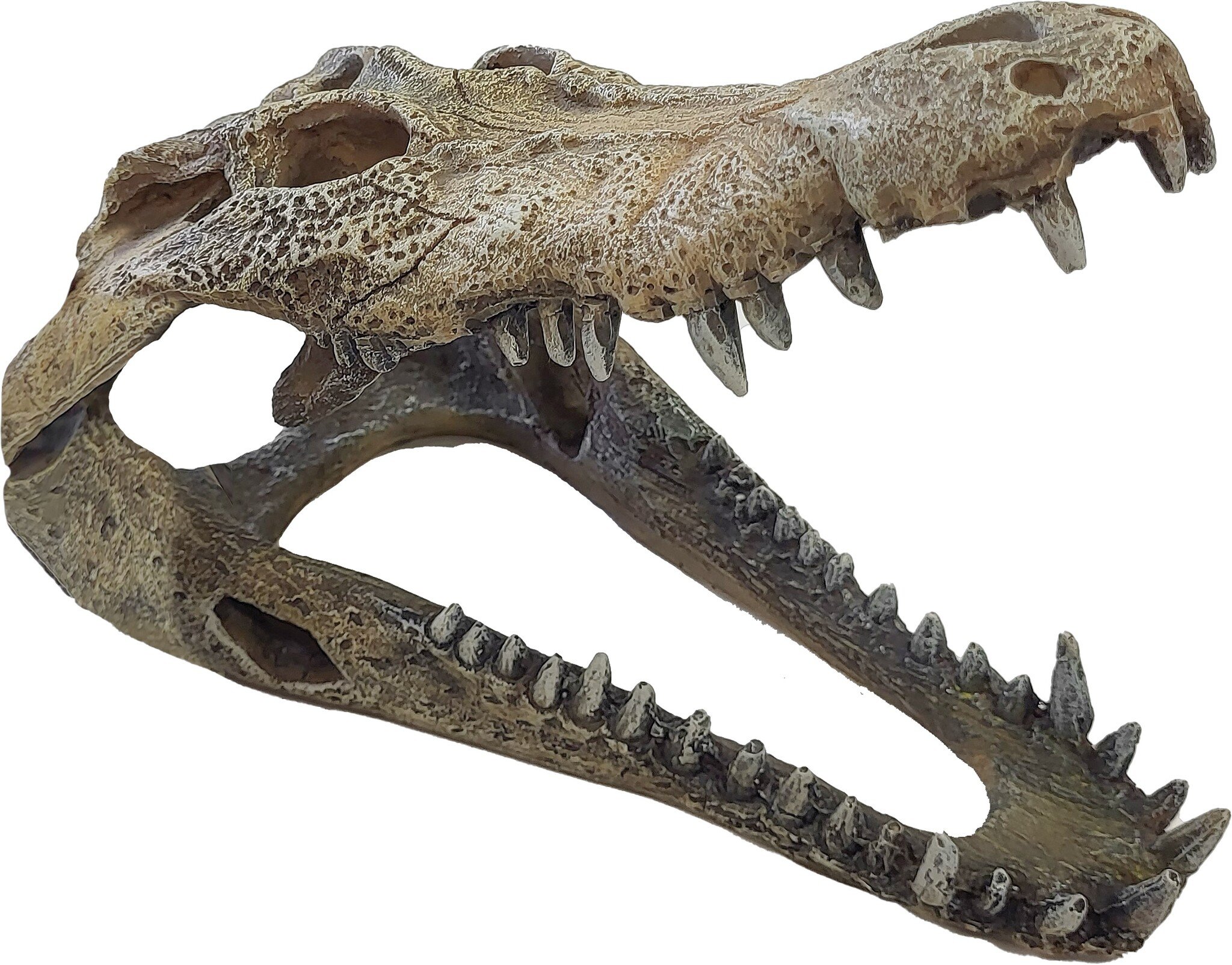 Terrarium Deco Crocodile Schuilplaats L