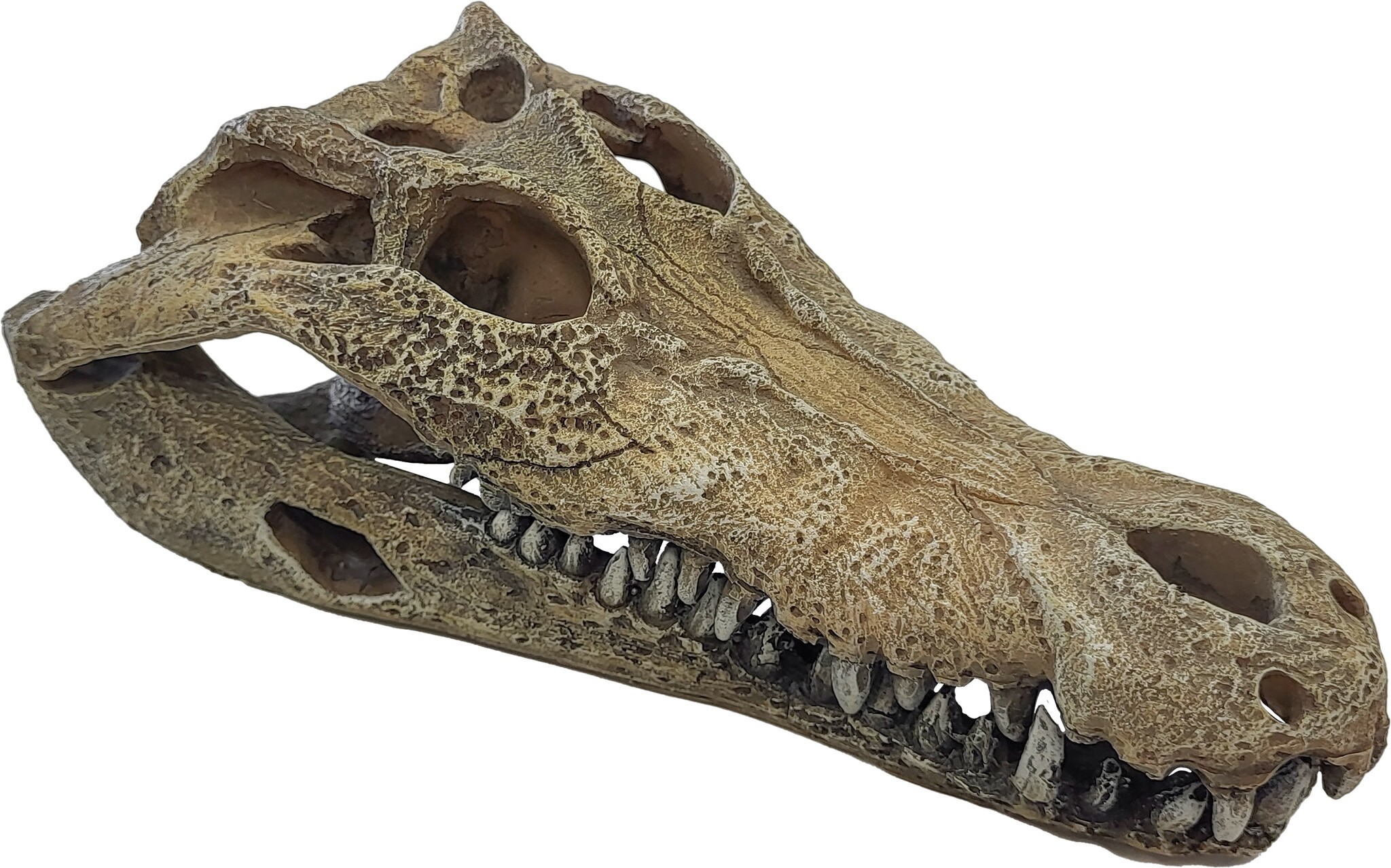 Terrarium Deco Crocodile Schuilplaats L