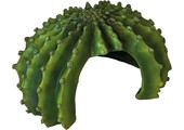Terrarium Cactus XL Schuilplaats