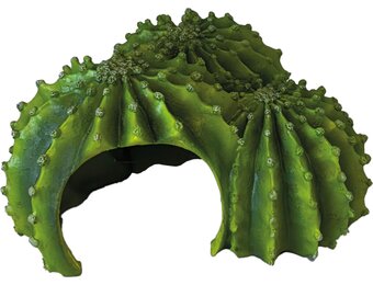 Terrarium Cactus Triple Schuilplaats