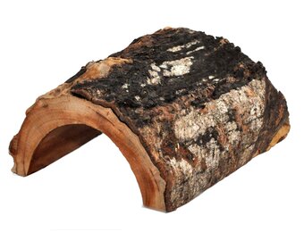 Terrarium Forest Schuilplaats L