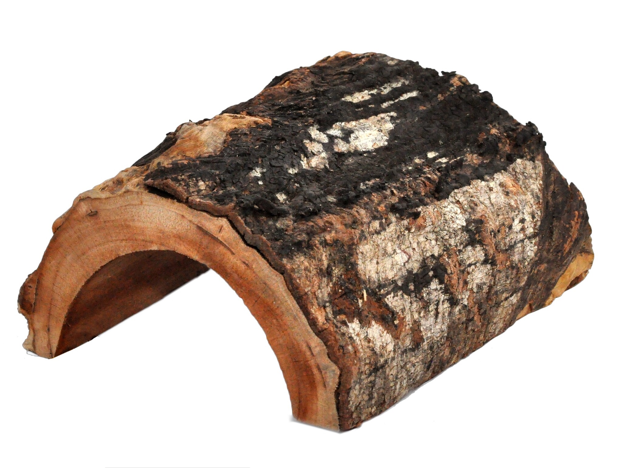 Terrarium Forest Schuilplaats L