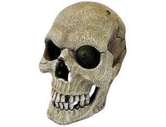 Terrarium Deco Schedel XL