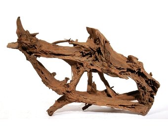 Mangrovehout XL 90-120cm