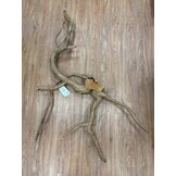 Selected Spider Wood Jumbo 100x150 A