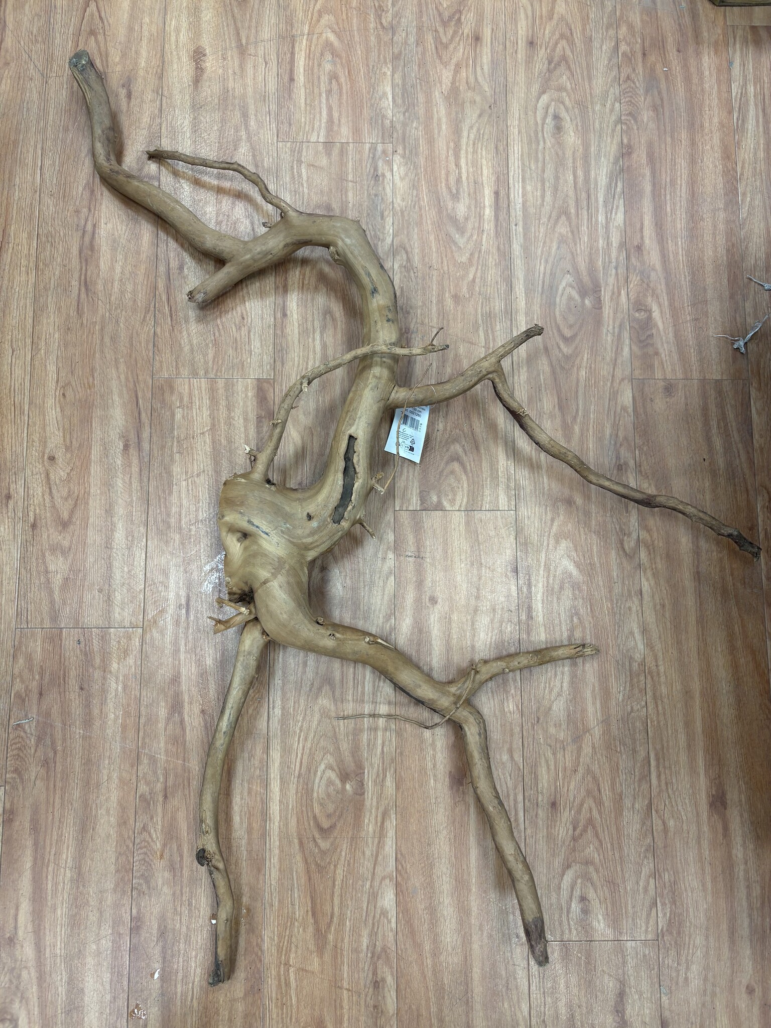 Selected Spider Wood Jumbo 100x150 A