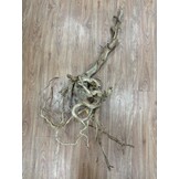 Selected Spider Wood Jumbo 100x150 B