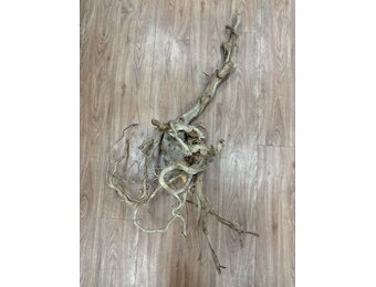 Selected Spider Wood Jumbo 100x150 B