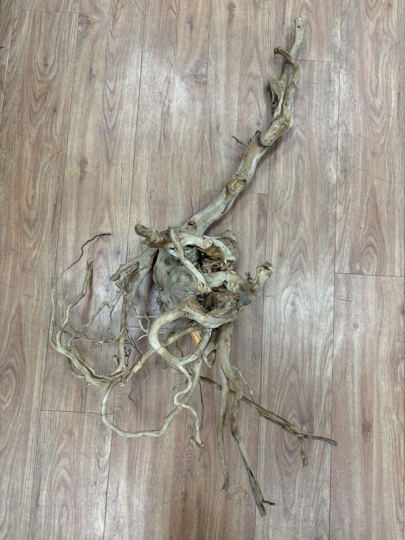 Selected Spider Wood Jumbo 100x150 B