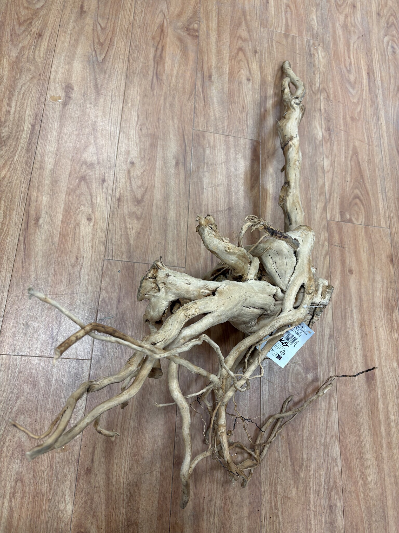 Selected Spider Wood Jumbo 100x150 B