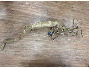 Selected Spider Wood Jumbo 100x150 C