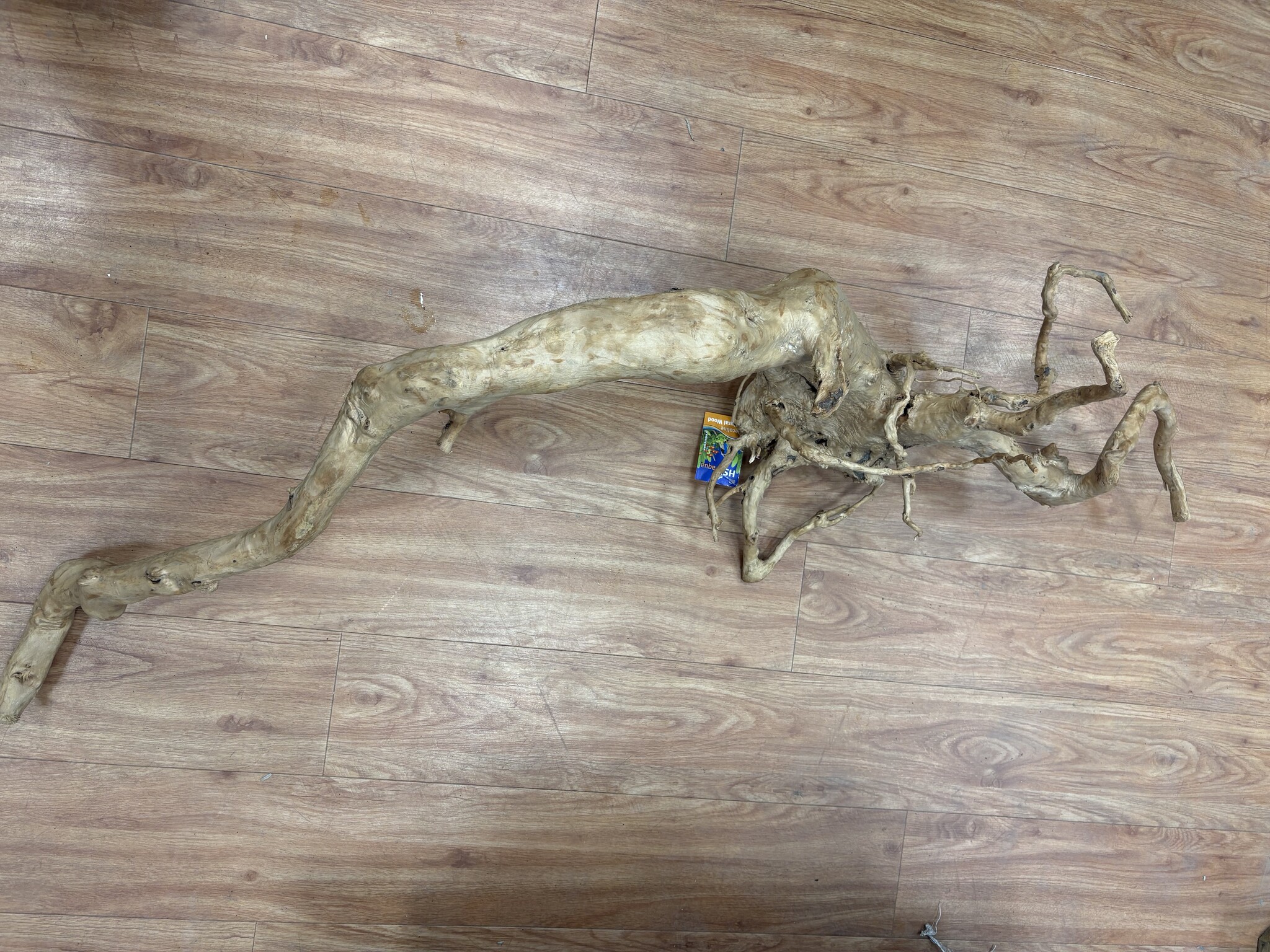 Selected Spider Wood Jumbo 100x150 C