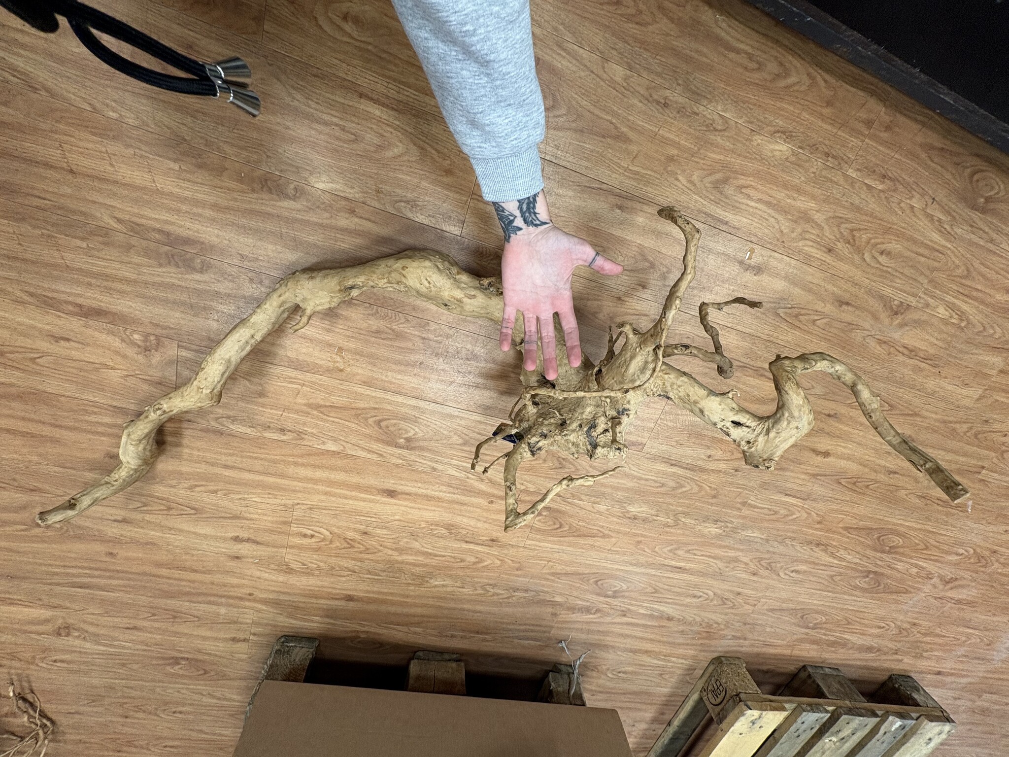 Selected Spider Wood Jumbo 100x150 C