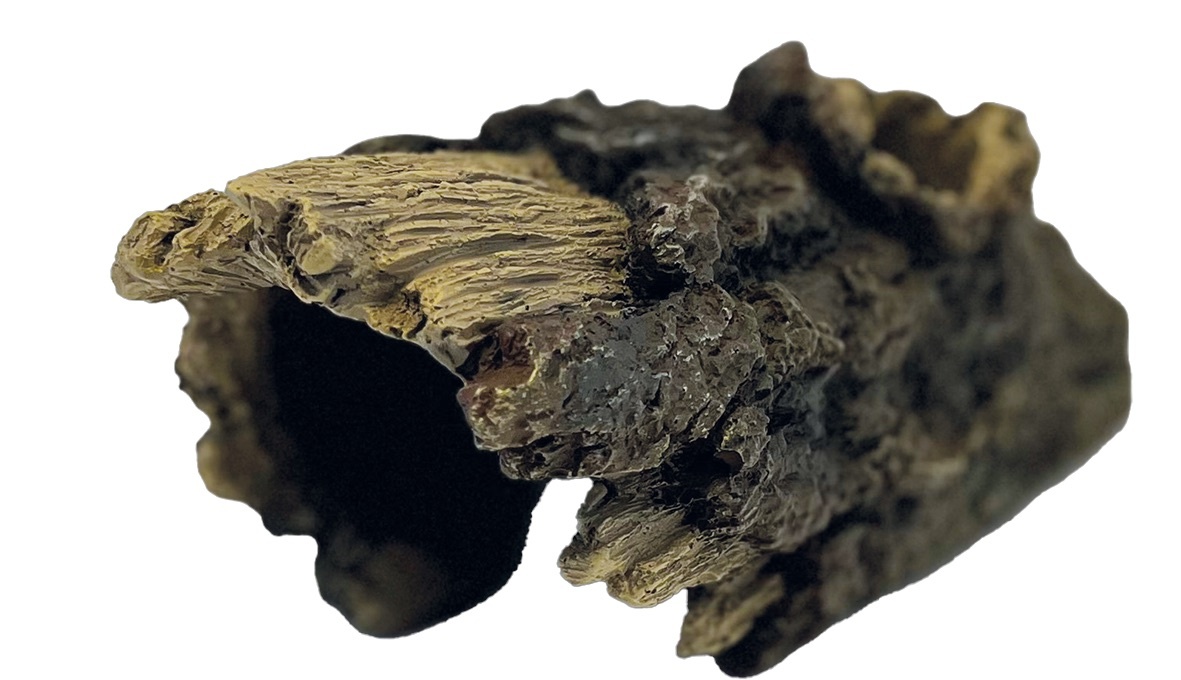 Terrarium Deco Wood Home Schuilplaats M