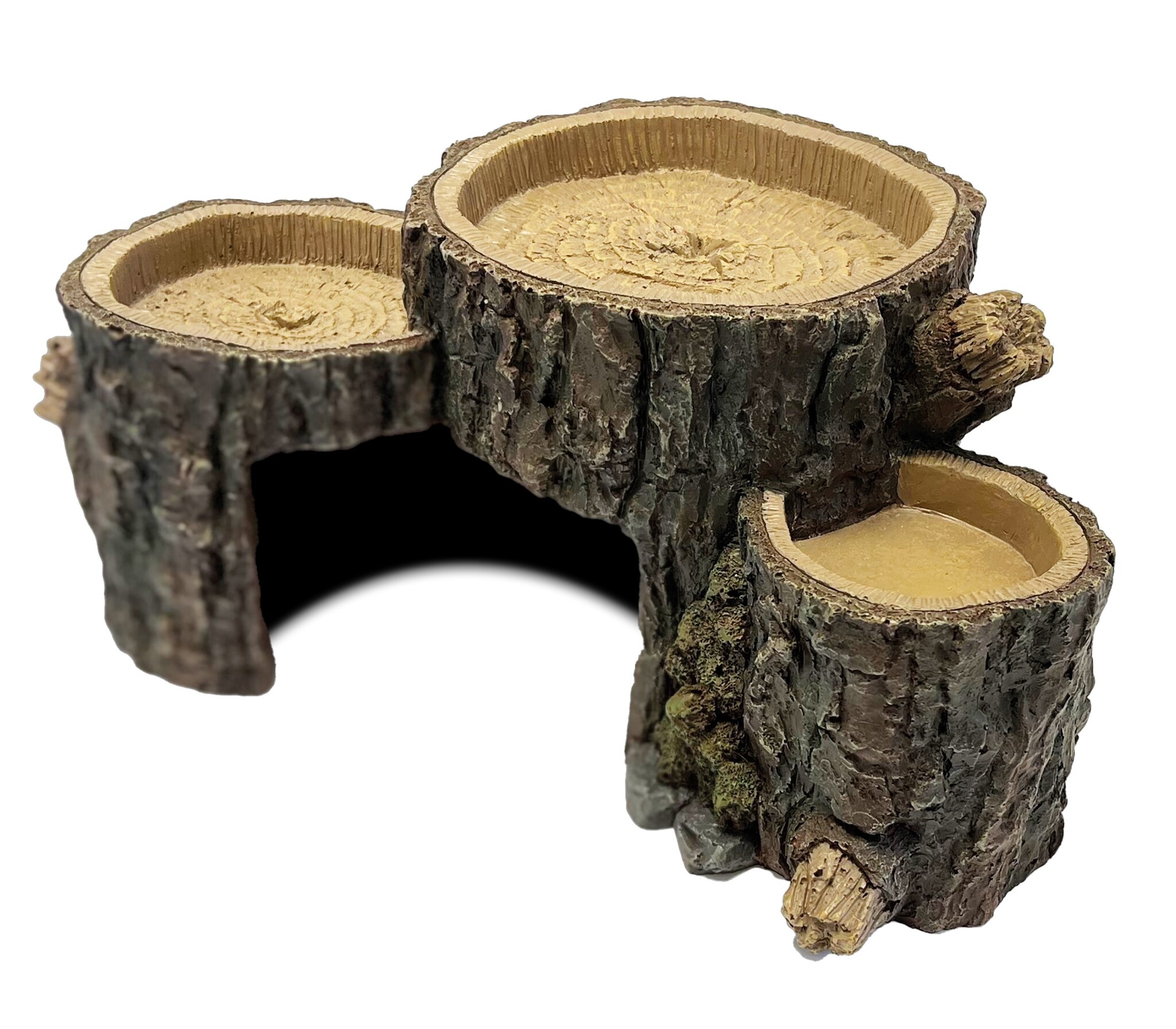 Terrarium Deco Triple Trunk L