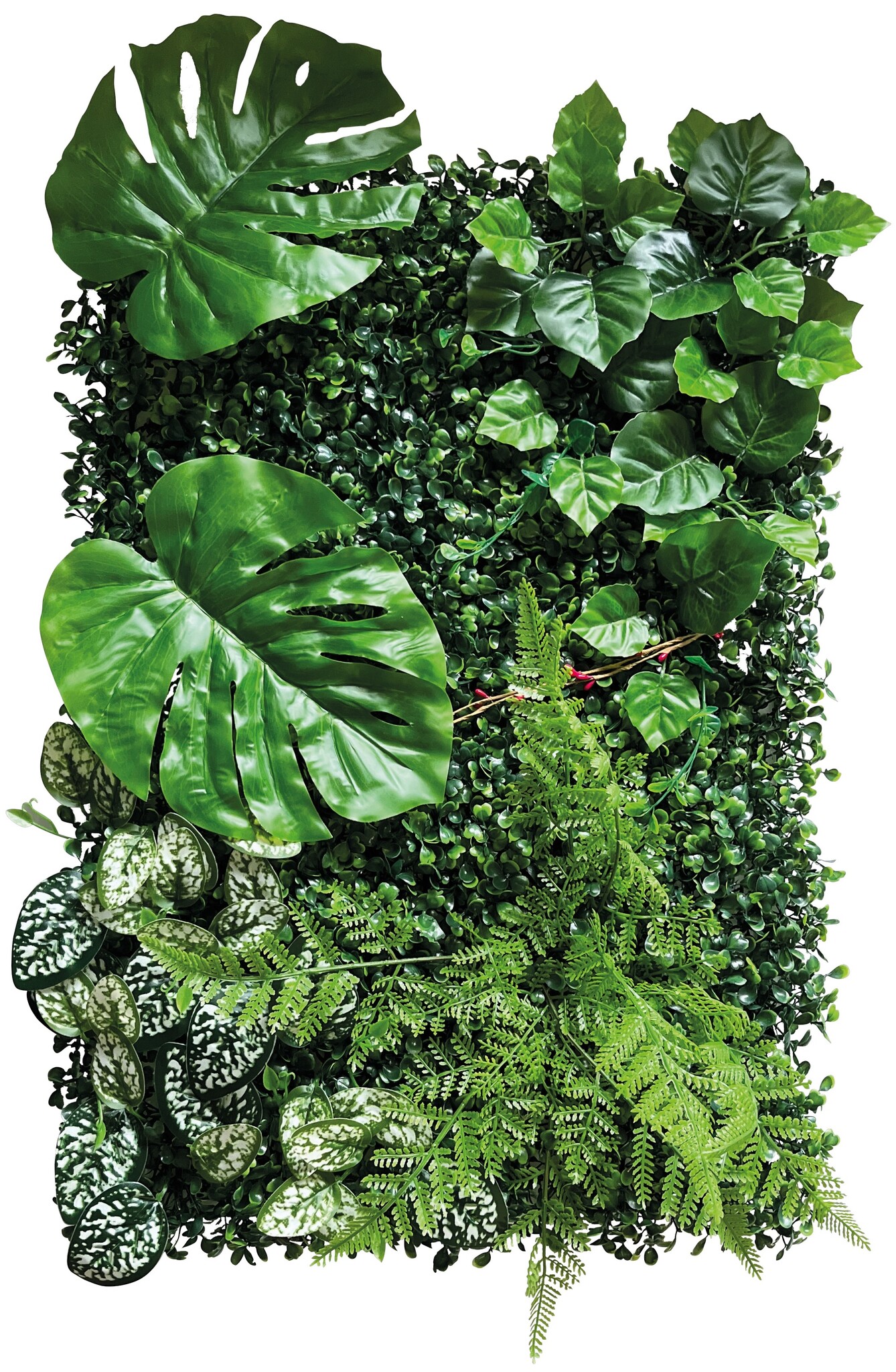 Terrarium Achterwand Planten Mat 2 40x60cm