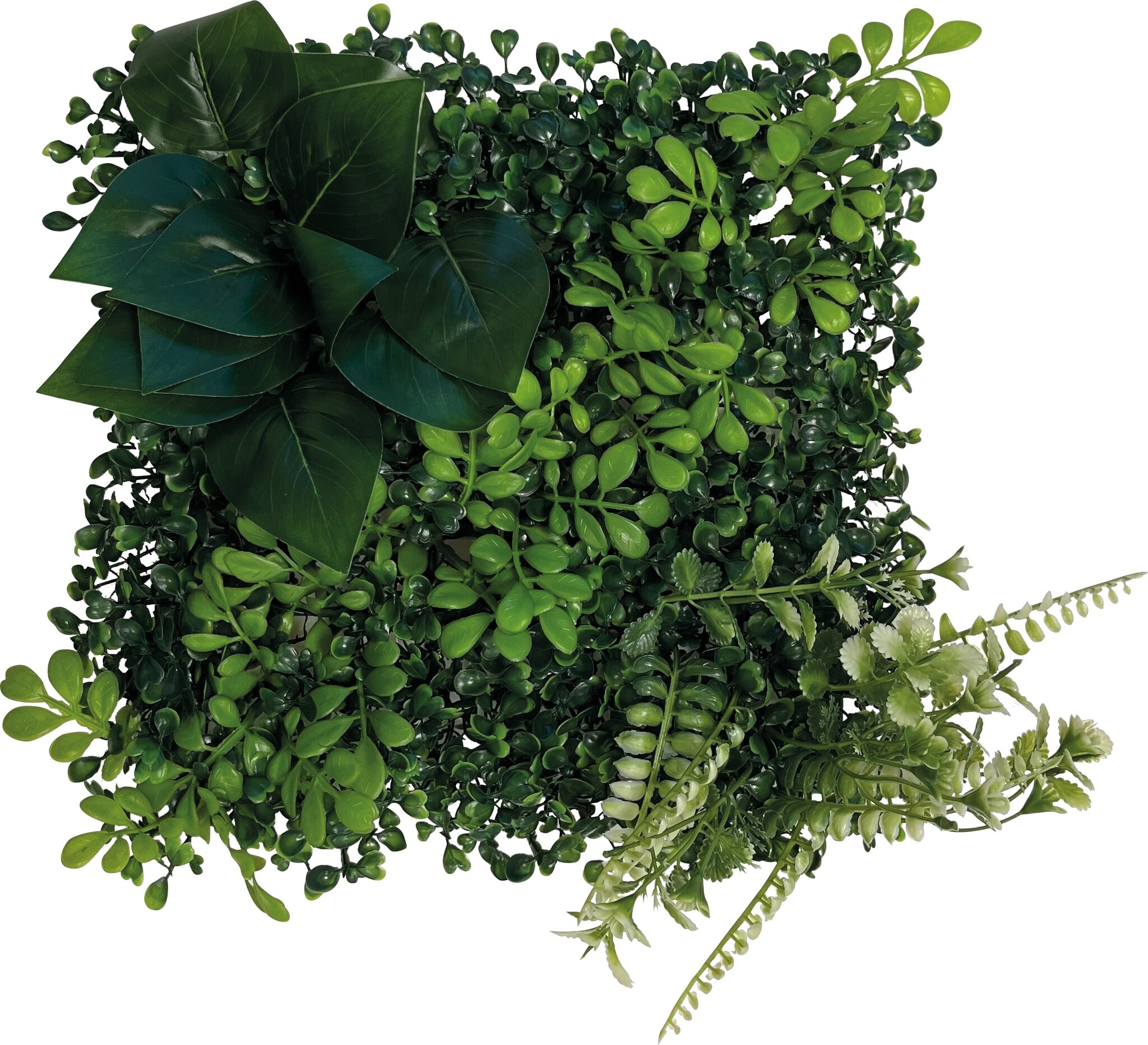 Terrarium Achterwand Planten Mat 1 25x25cm
