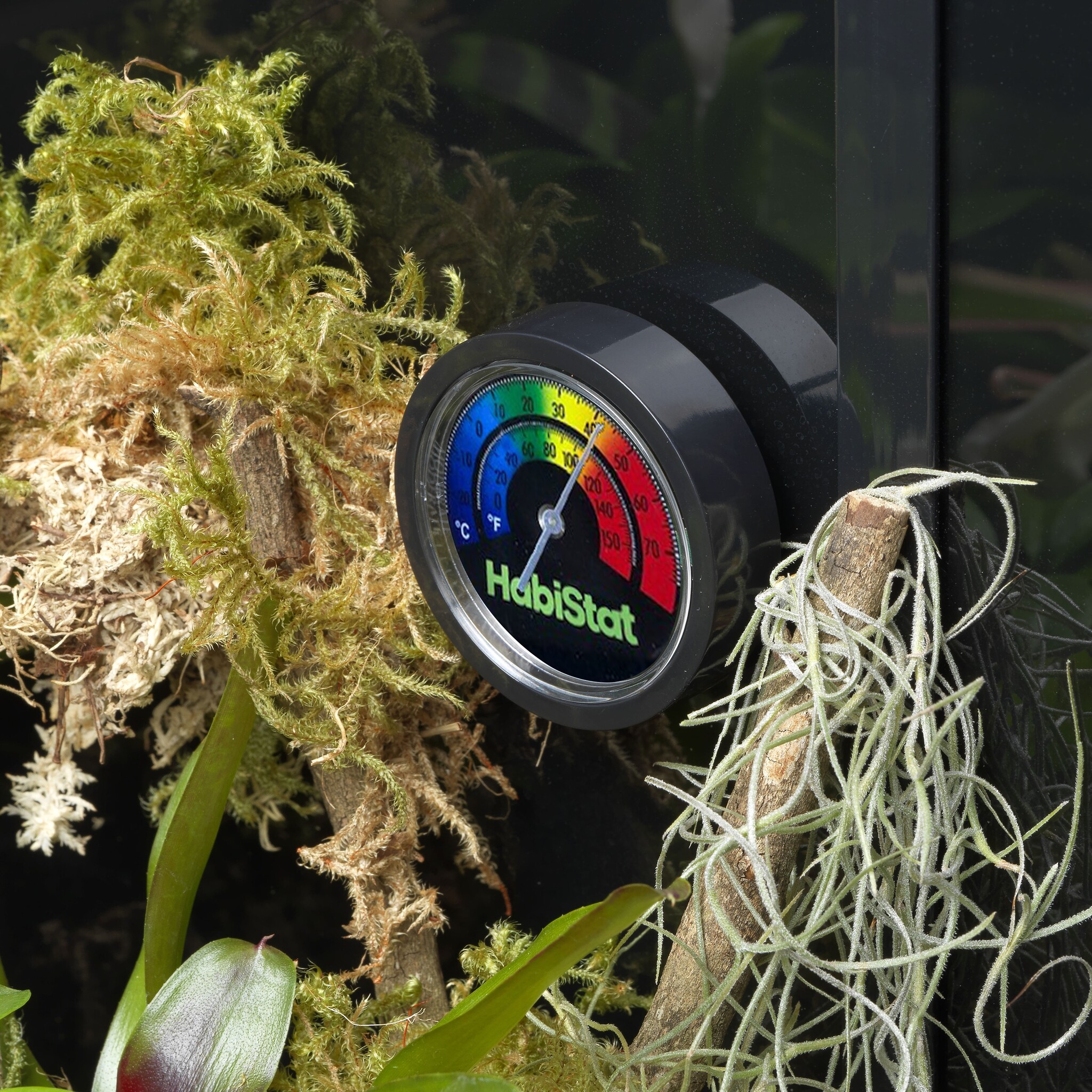 Analoge Terrarium Thermometer