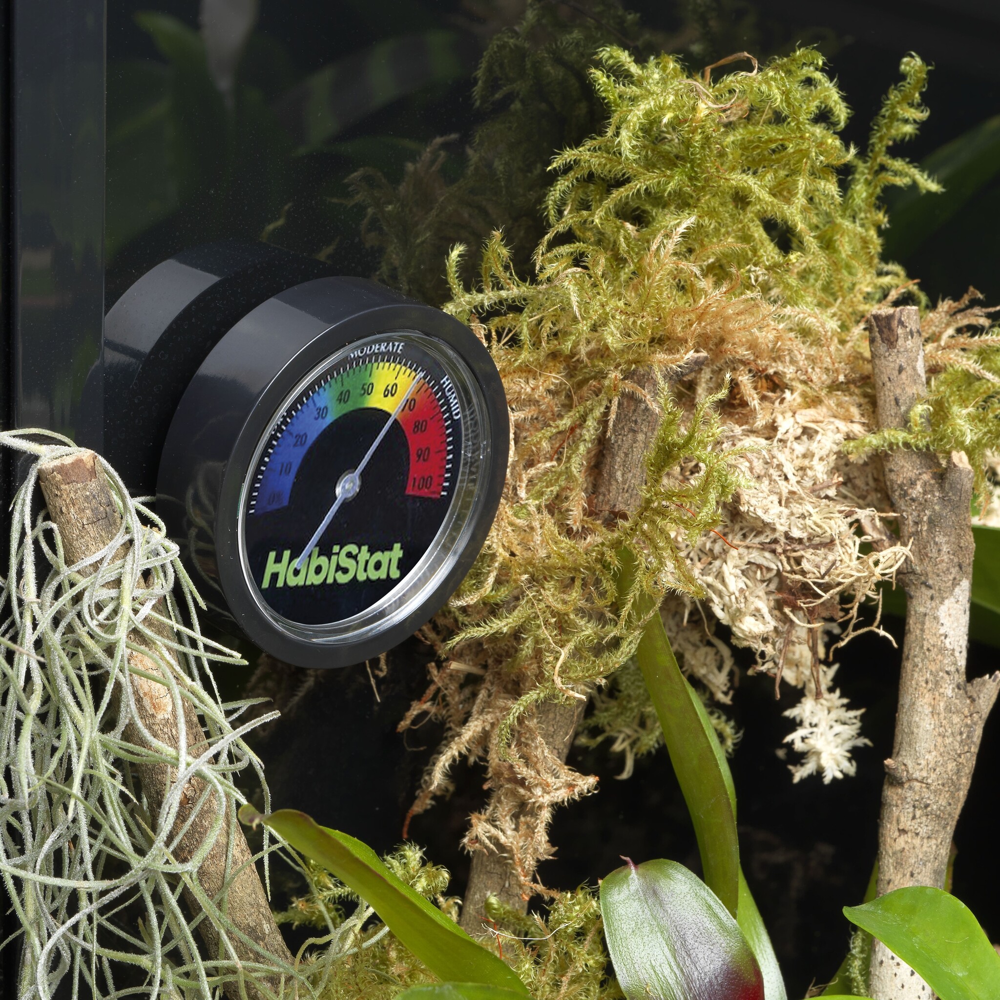 Analoge Terrarium Hygrometer