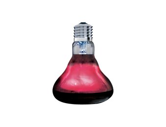 Infrarood Basking Spot Warmtelamp 150W