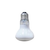 Solar Basking Floodlight Terrarium Zonlichtlamp 75W