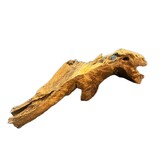 Mangrovehout M (30-40cm)