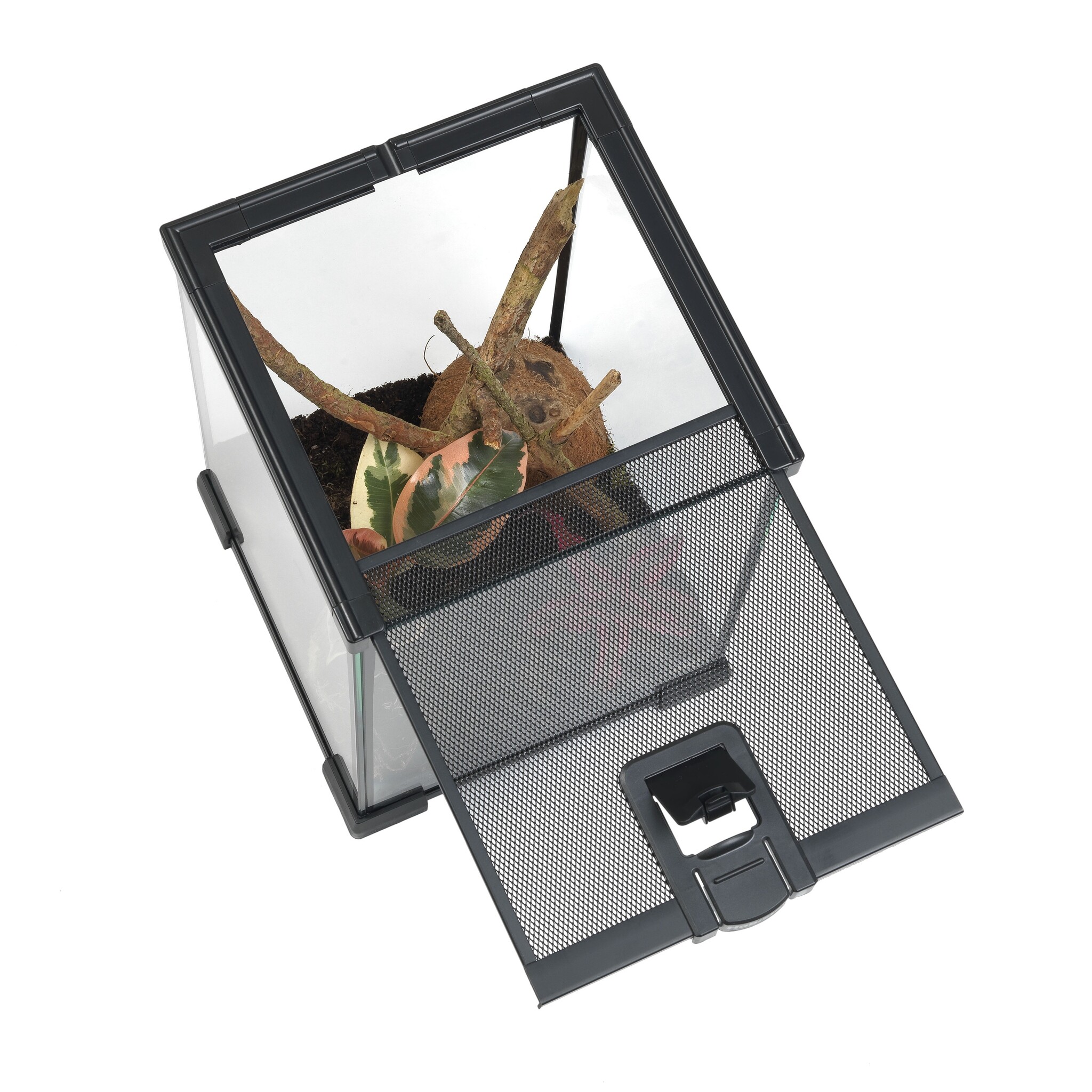 Ongewervelden Starterset