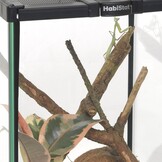 Ongewervelden Starterset