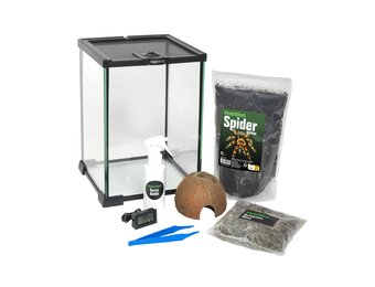 Ongewervelden Starterset