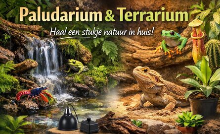 Paludarium & Terrarium kopen | Accessoires & Inspiratie | AquastoreXL
