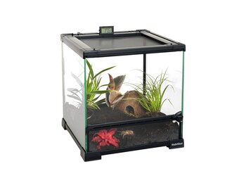 Glazen Terrarium 30x30x32cm