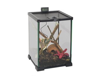 Mini Terrarium 20x20x30cm