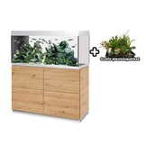 HighLine 300 - Room Divider Aquarium Set Wild Eiken
