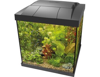 Start 30 Qube Kit Zwart